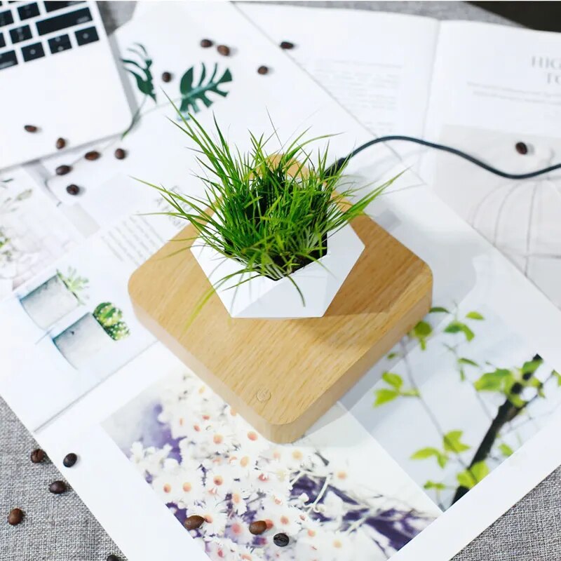 Levitating Air Bonsai Pot Rotation Flower Pot Planters Magnetic Suspension Floating Pot Potted Plant Home Desk Decor Levitating Air Bonsai Pot Rotation Flower Pot Planters Magnetic Suspension Floating Pot Potted Plant Home Desk Decor