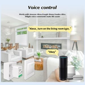 Smart DIY Light Switches Life Alexa Google Home