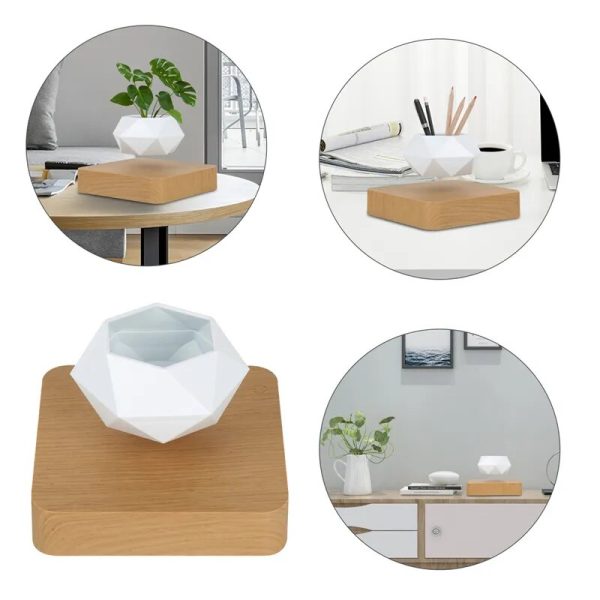 Magnetic Floating Plant Home Desk Decor - Image 4